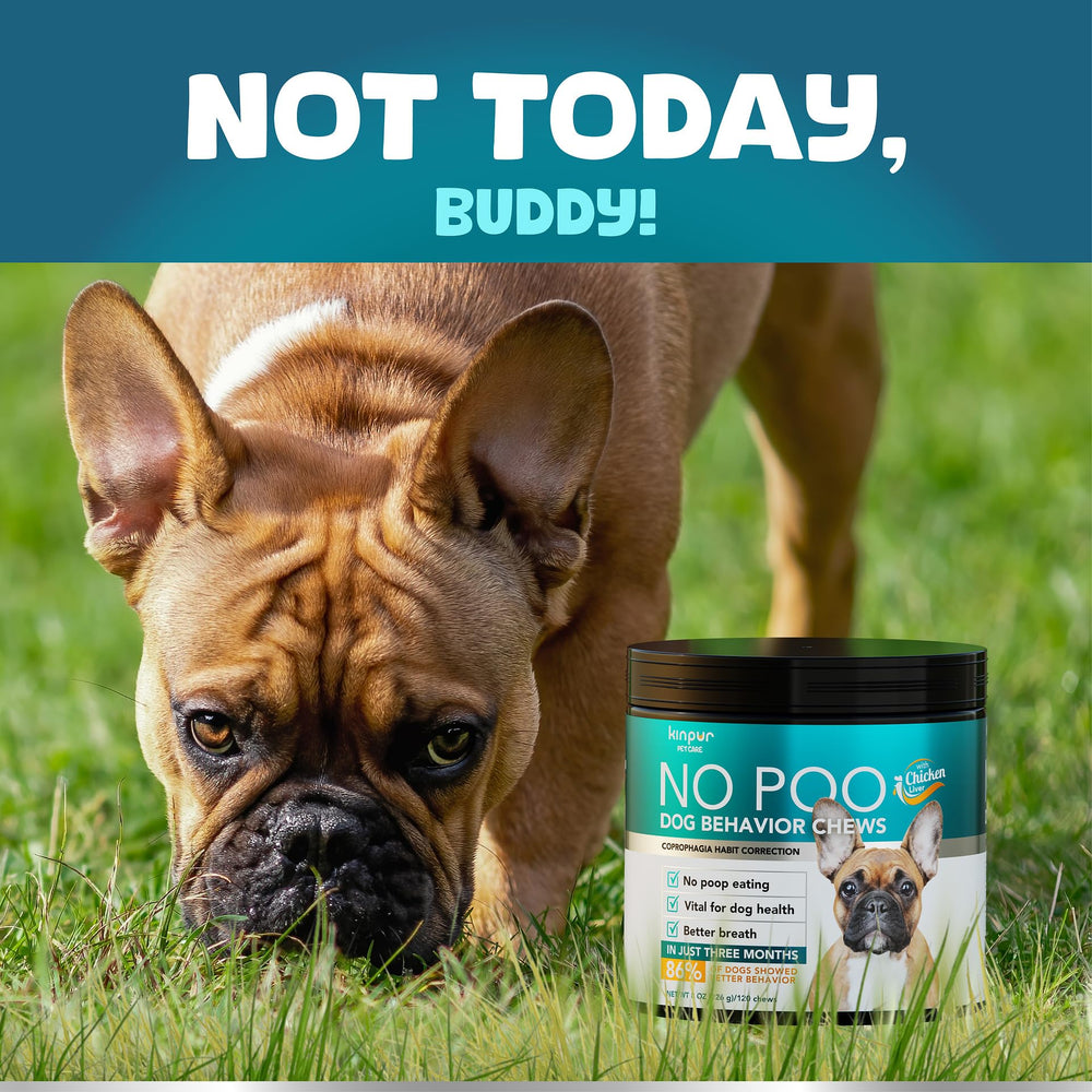 Kinpur No Poo Chews produced in USA with quality manufacturing standards