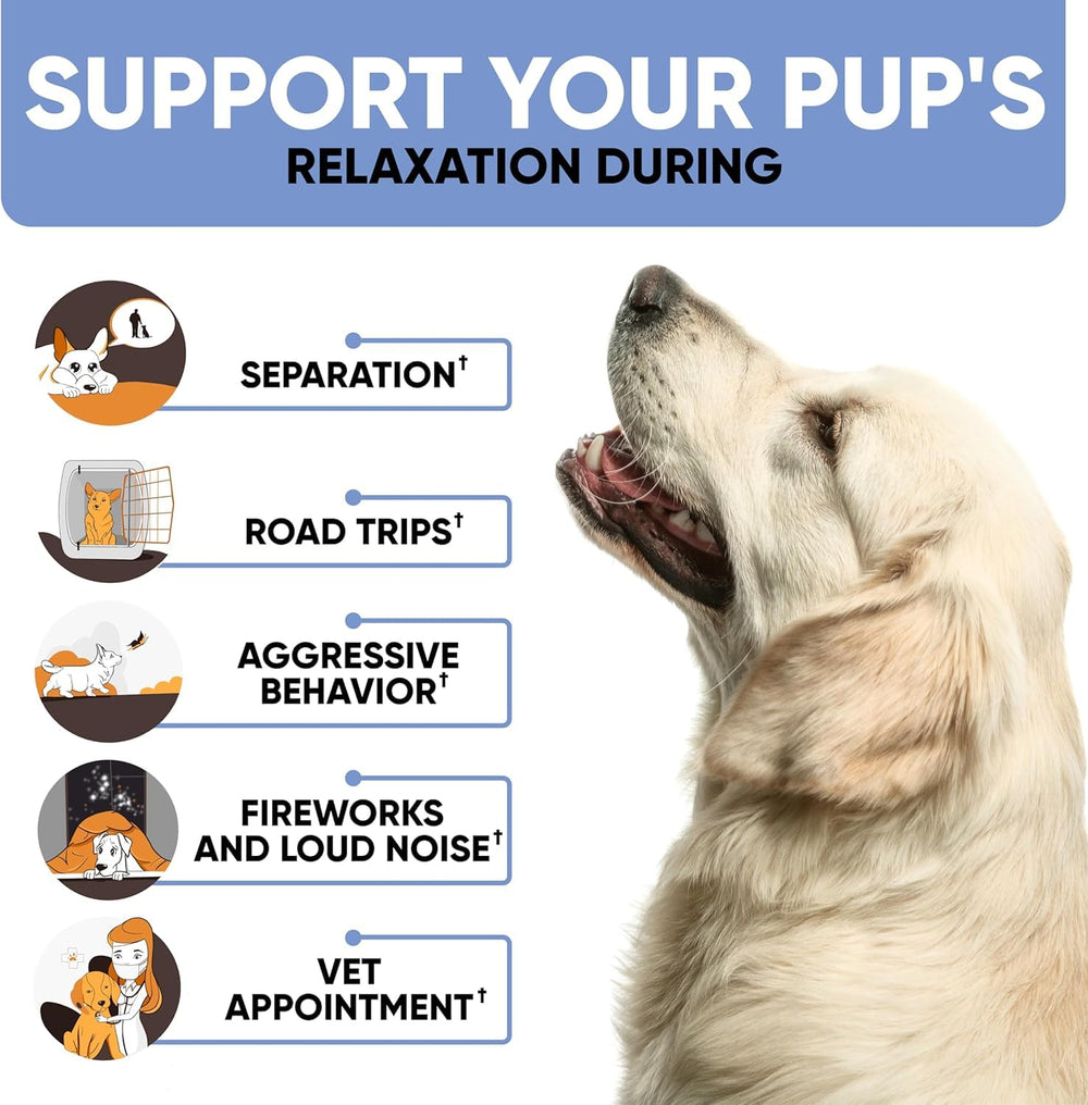 Kinpur Pet Care chamomile and L-theanine dog treats for balance.