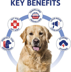 Kinpur Pet Care hip joint dog treats show bone-supporting benefits in a chewable form