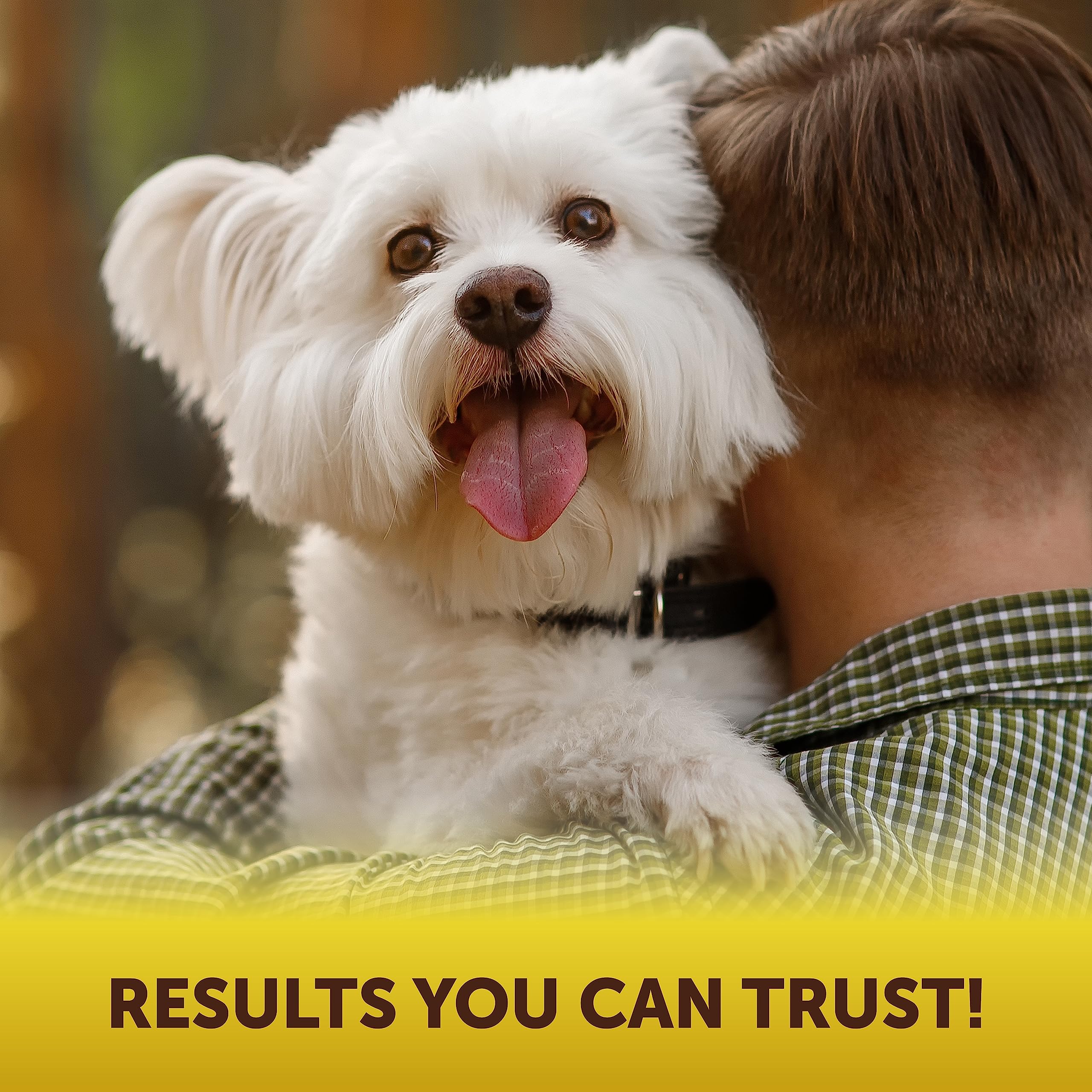 Kinpur Scoot Stopper brand community Kinpur Pet Care fans share tips and encouragement.