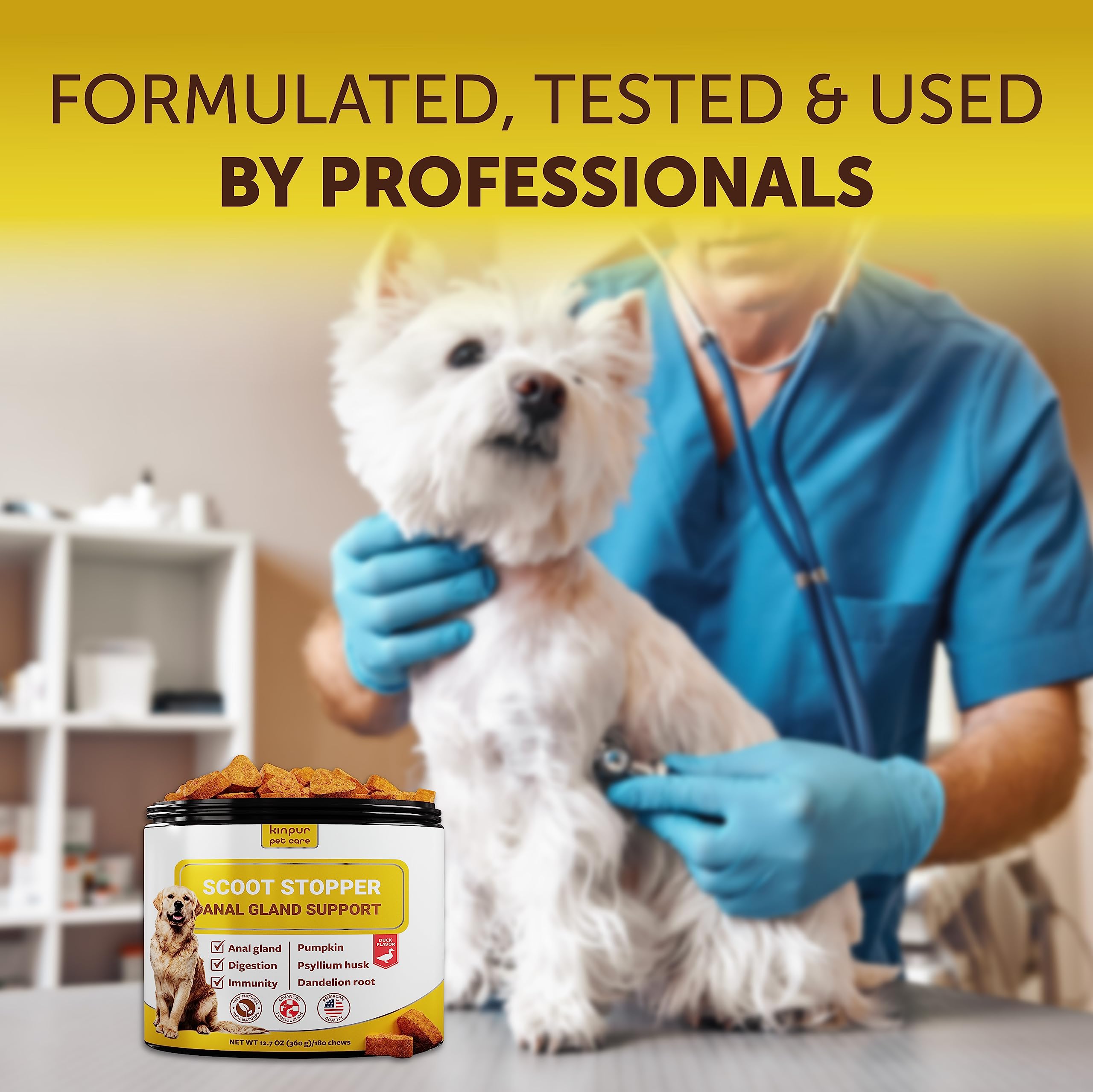 Kinpur Scoot Stopper dog digestive health pumpkin enzymes and flaxseed for daily balance.