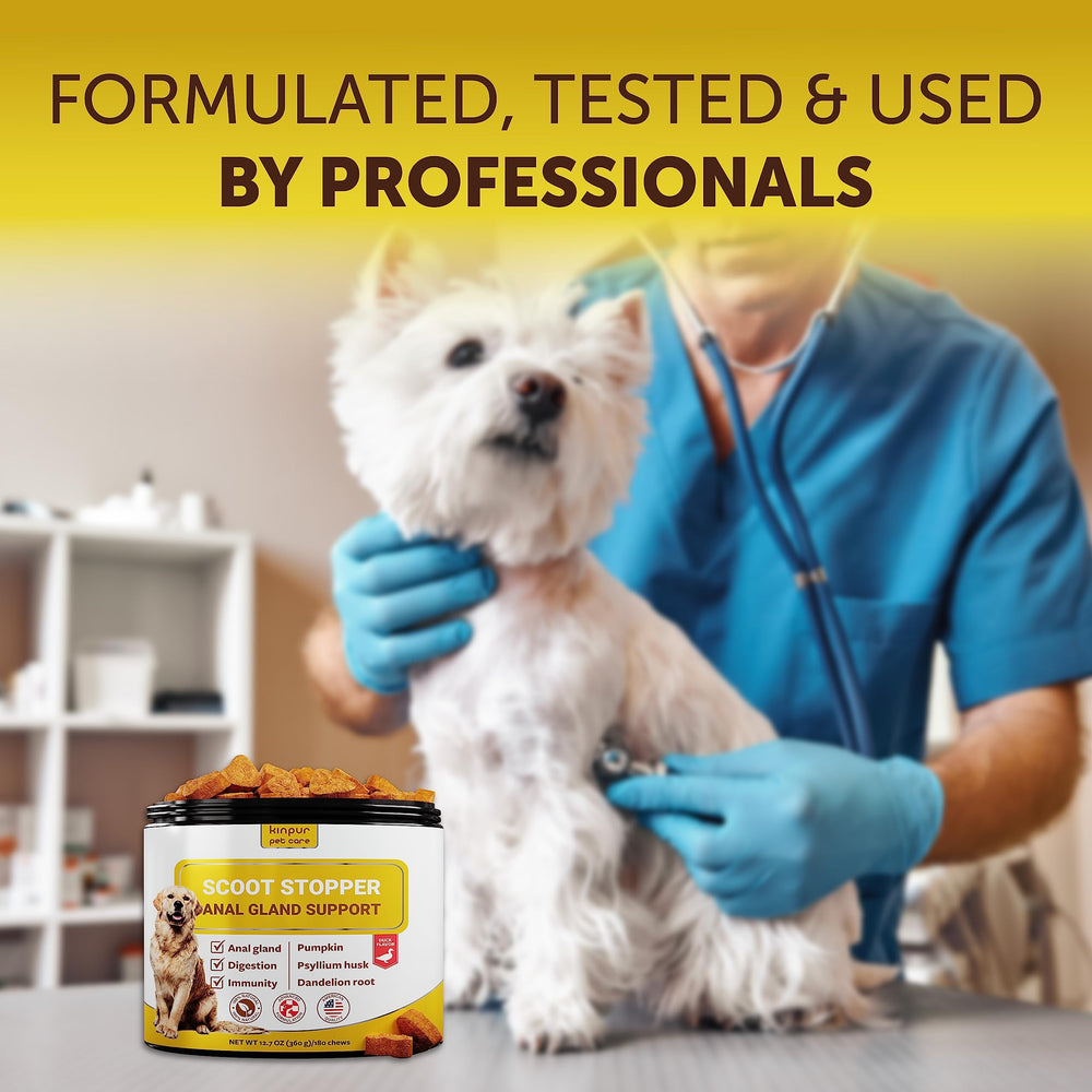 Kinpur Scoot Stopper dog digestive health pumpkin enzymes and flaxseed for daily balance.