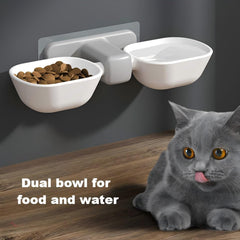 KINTEGOOD dual bowls for food and water in a white elevated setup.