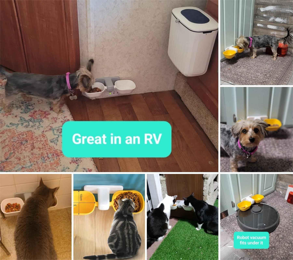 KINTEGOOD elevated feeding station mounted on wall in white finish.