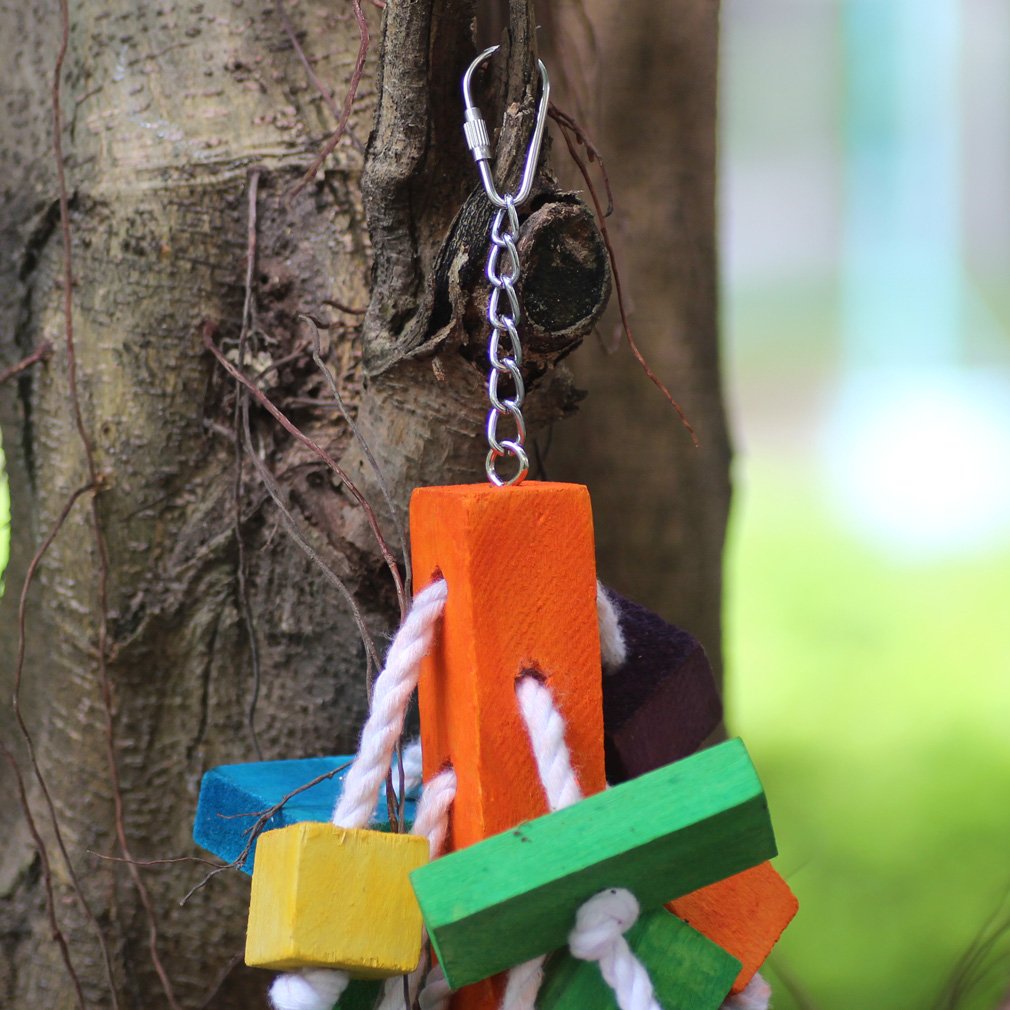 KINTOR beak-grinding toy for parrots supports beak conditioning and boredom relief