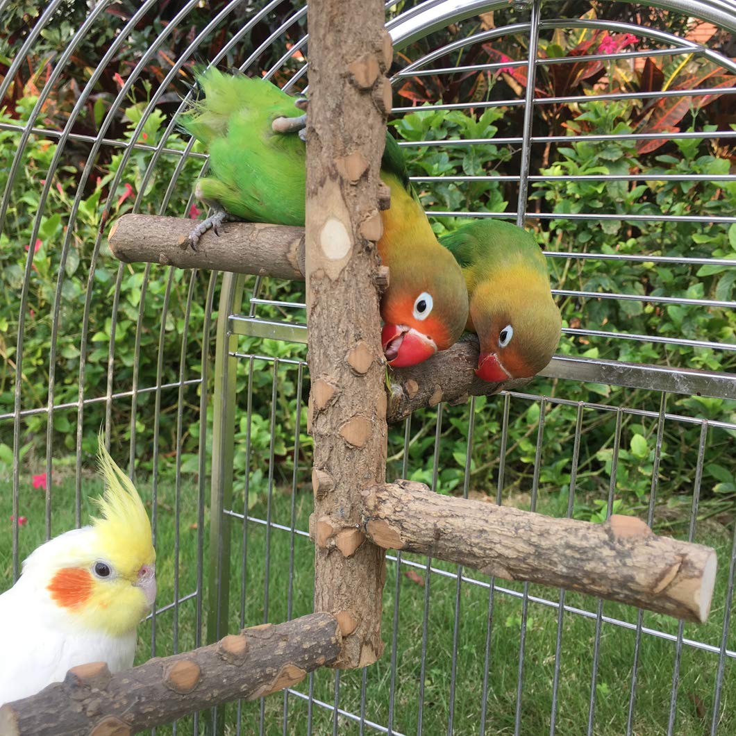 KINTOR Bird Perch Natural-Wood Texture emphasizes warmth and chew-friendly material
