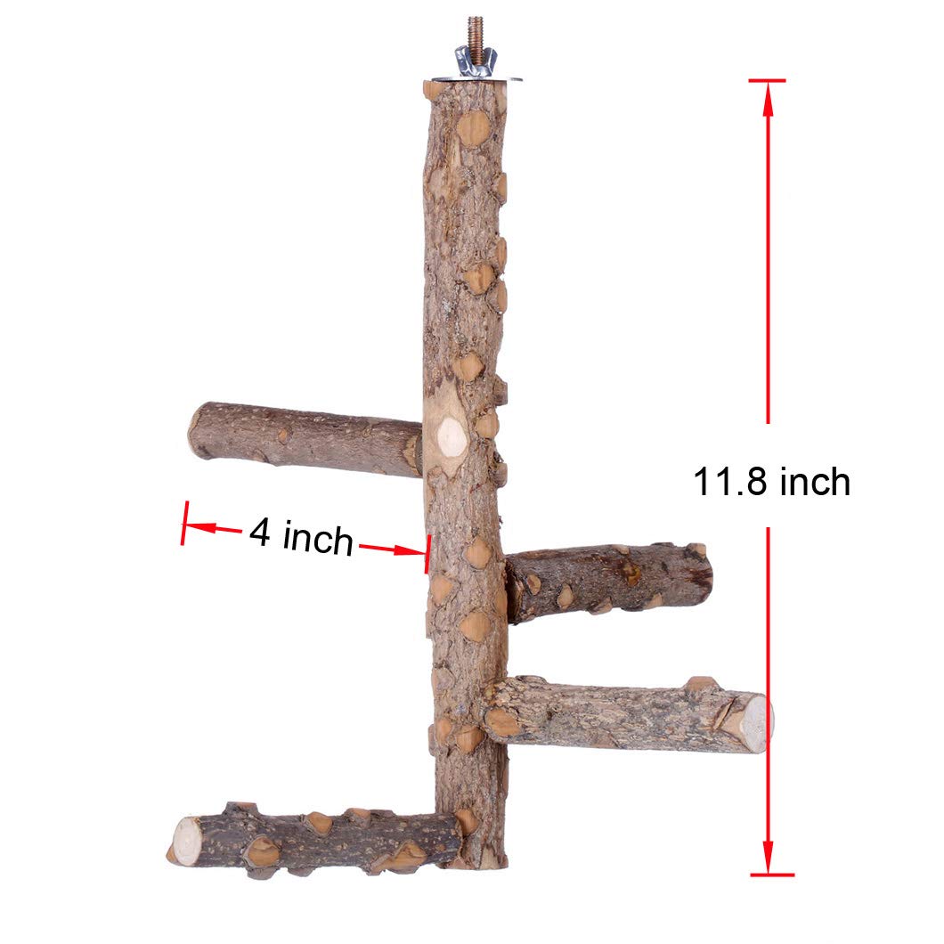 KINTOR Bird Perch Nature Wood Closeup wood highlights safe chewing and natural texture