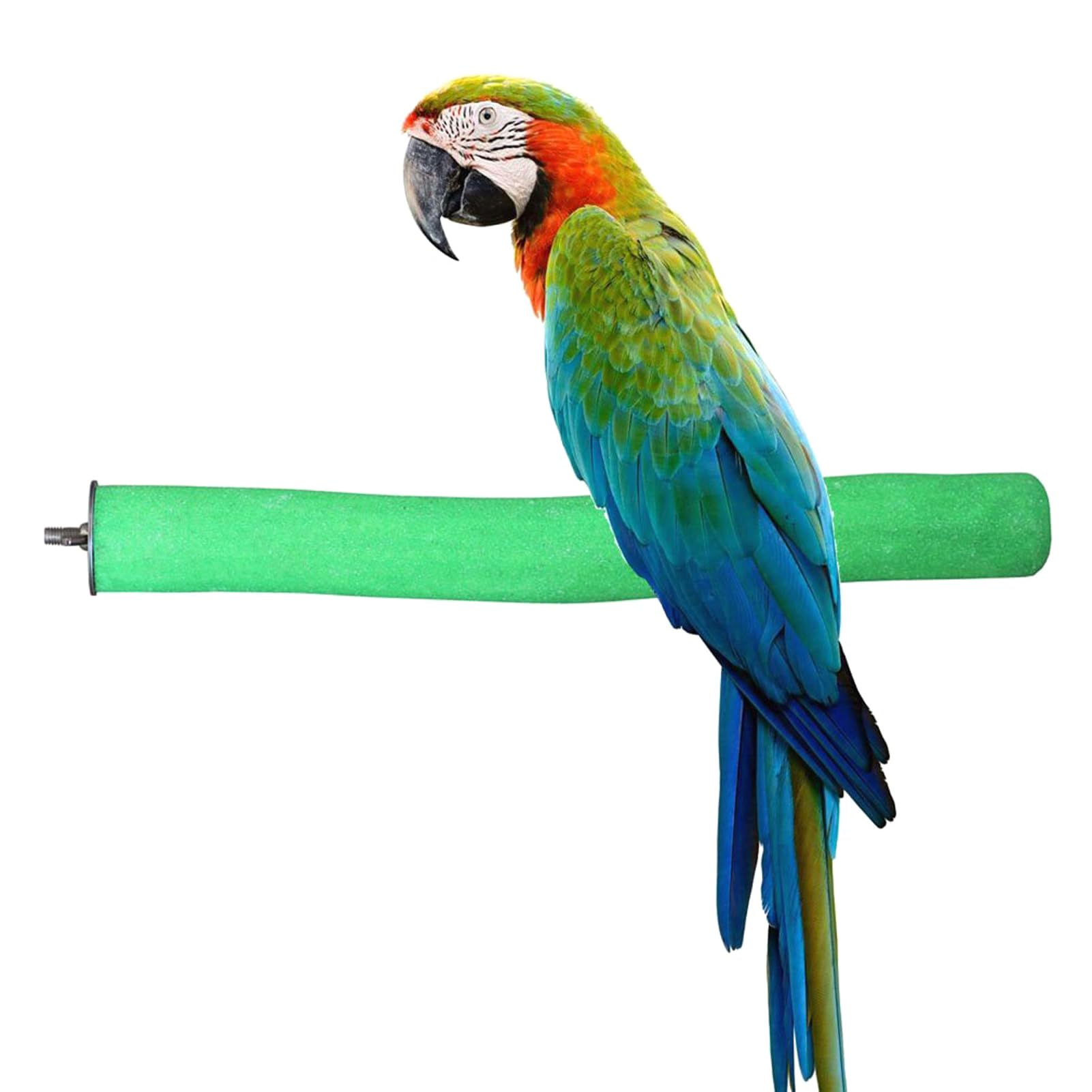 KINTOR bird perch rough-surfaced branch natural wood aids grip during playtime.