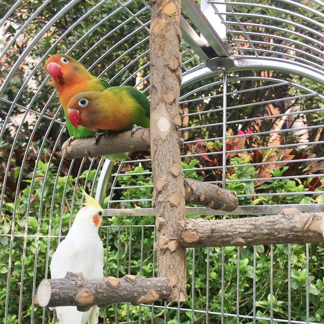 KINTOR Bird Perch Small-Parrots-Fit ideal for Parrotlets Parakeets Cockatiels