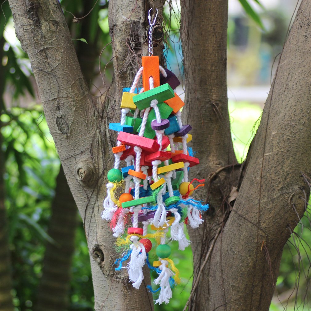 KINTOR bird toy decorative gift for pets adds vibrant home décor