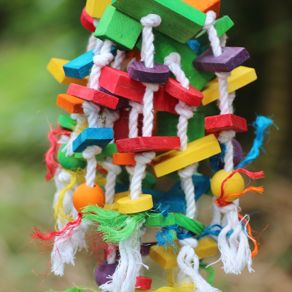 KINTOR large-parrot toy reduces loneliness through engaging textures and colors