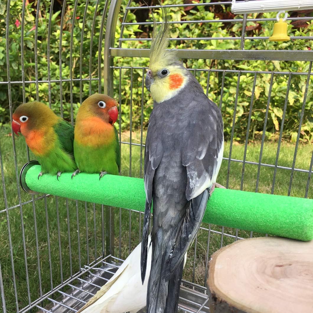 KINTOR parrot perch design supports natural beak and nail trimming during activity.