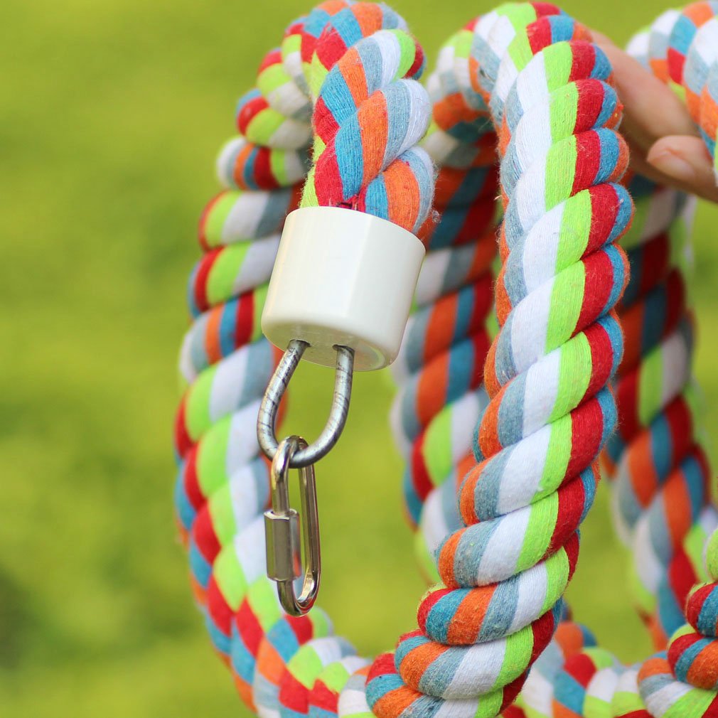 KINTOR colorful beads on the rope add enrichment and exploration cues.