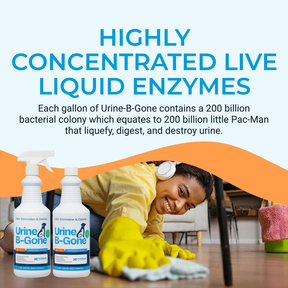 KINZUA ENVIRONMENTAL Urine B-Gone pet stain eraser safely lifts tough stains.