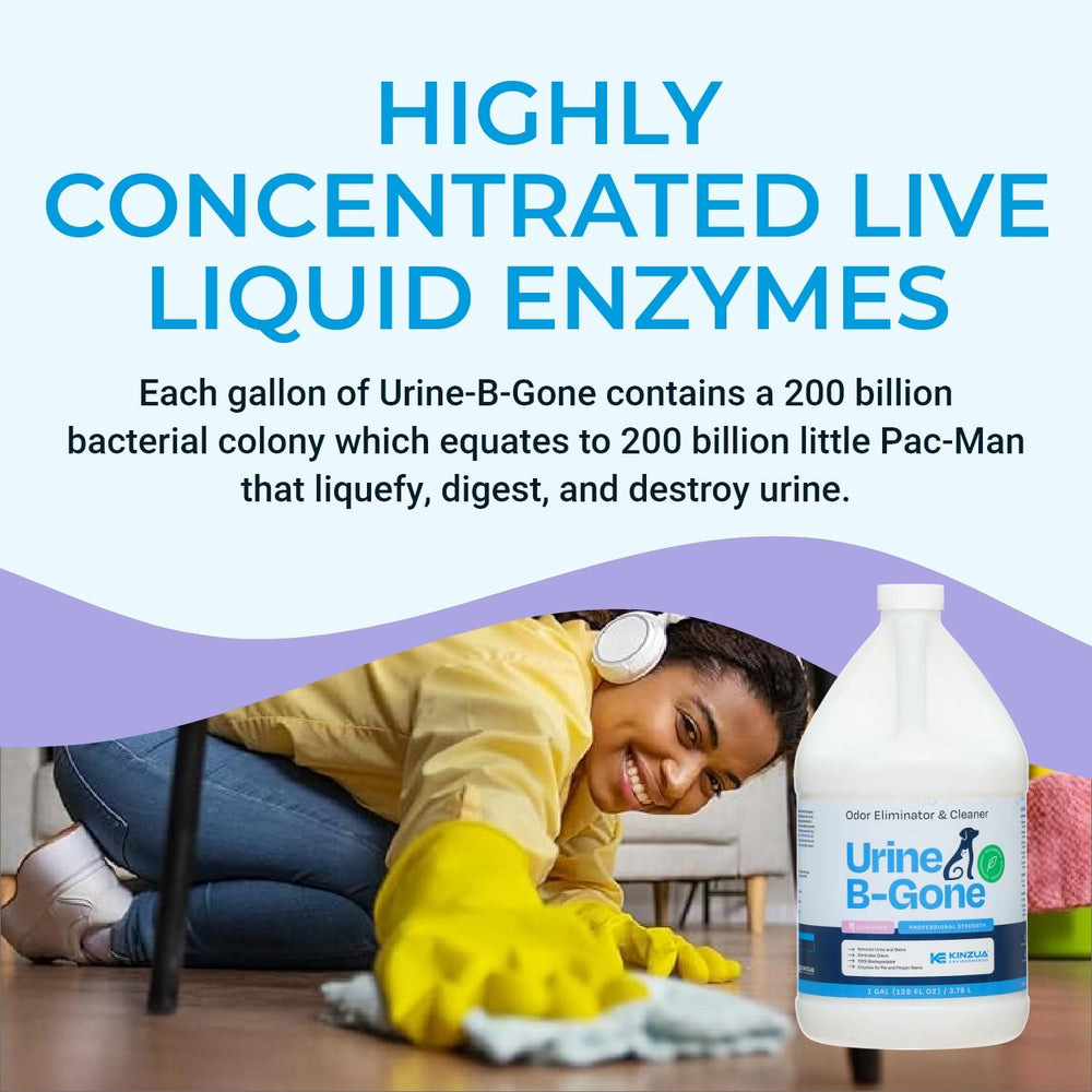 KINZUA ENVIRONMENTAL Urine B-Gone drain-and-toilet-use shows versatile deodorizing for plumbing.