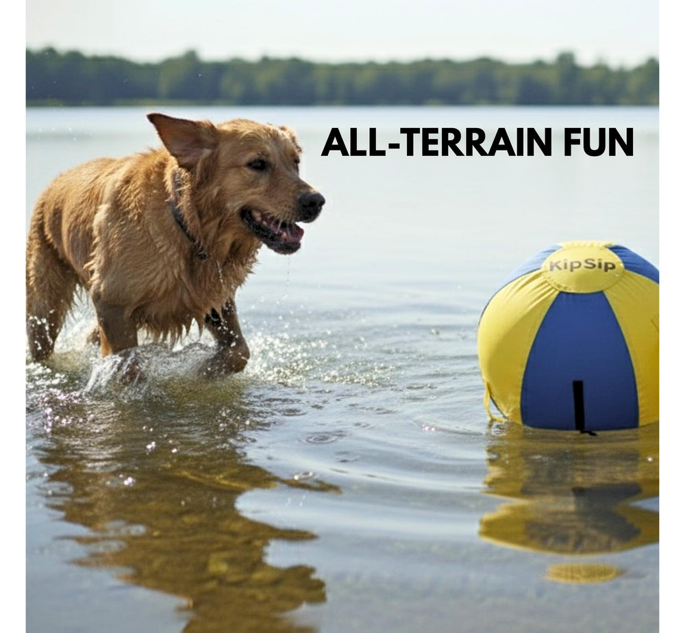 KipSip Herding Ball water-play scene highlights floating feature for splash workouts