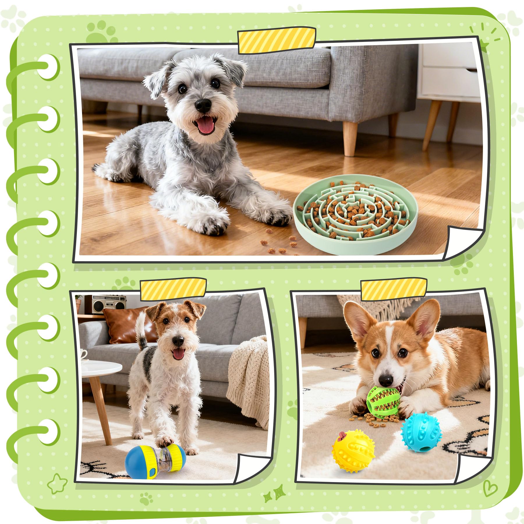 KIPRITII bonding-enrichment-play highlights shared moments during training or fetch.