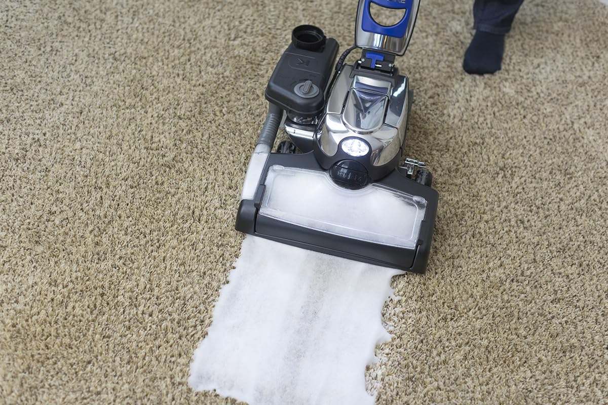 Kirby 283297 carpet stain removal closeup highlights effective stain lifting.