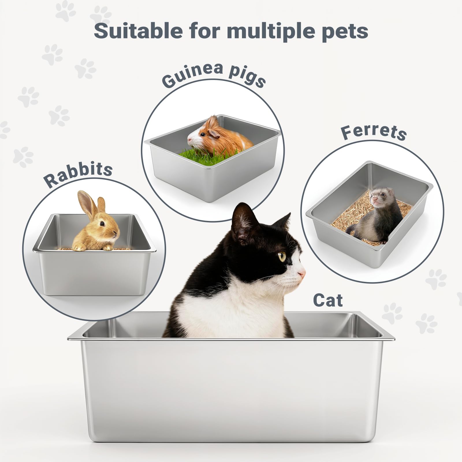 Kirecoo versatile-use stainless box suits multiple pets and tasks.