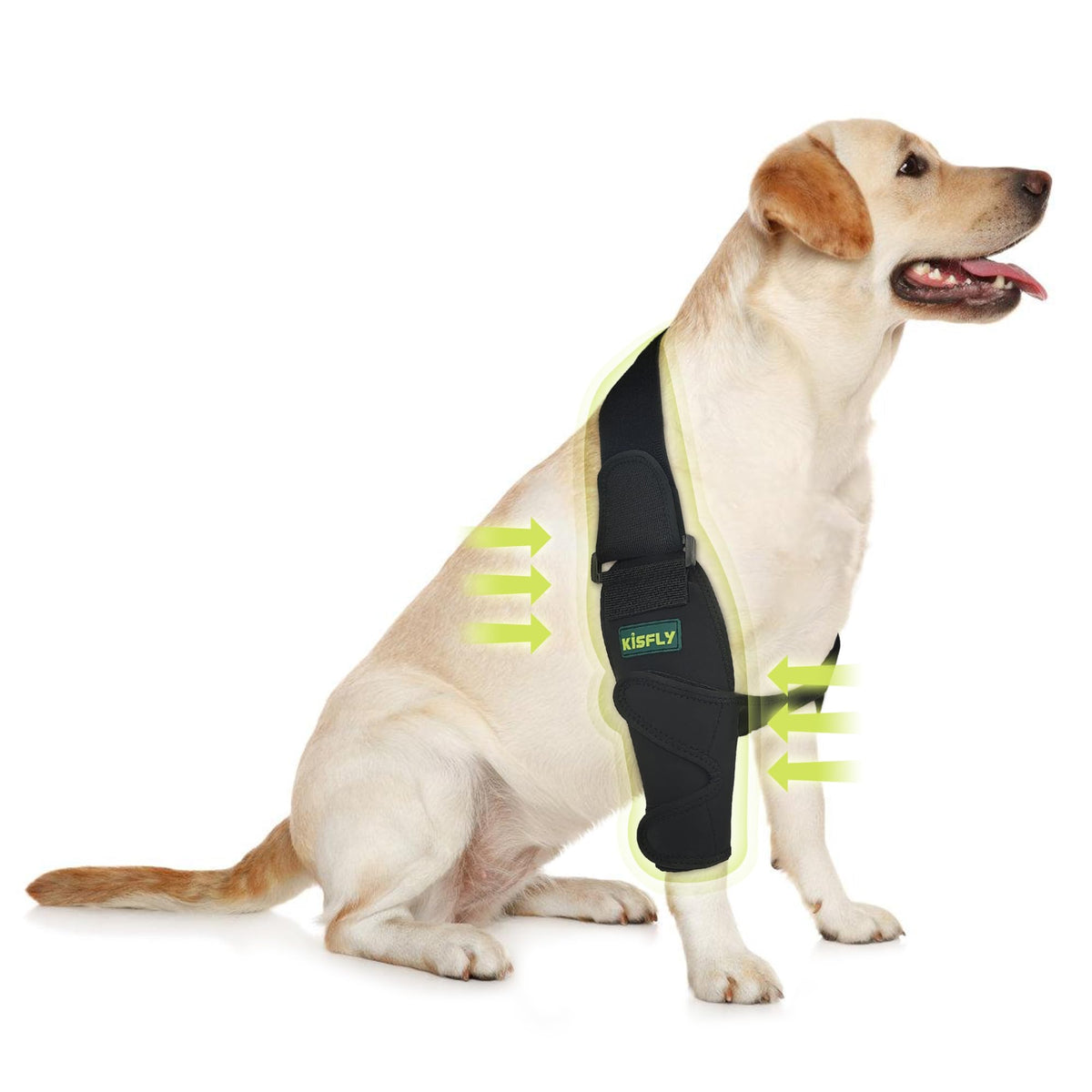KISFLY dog elbow brace front leg on a resting dog improves mobility and comfort.