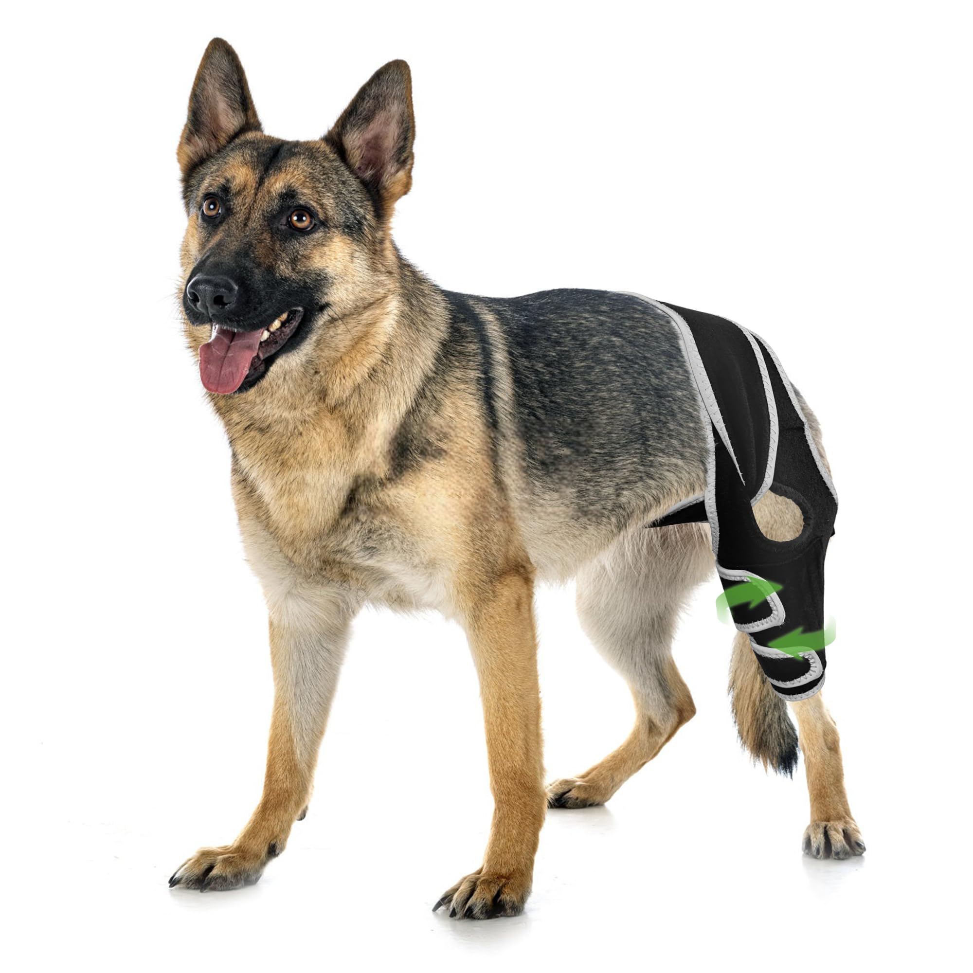 KISFLY dog knee brace front view shows universal fit for all legs and steady knee support.
