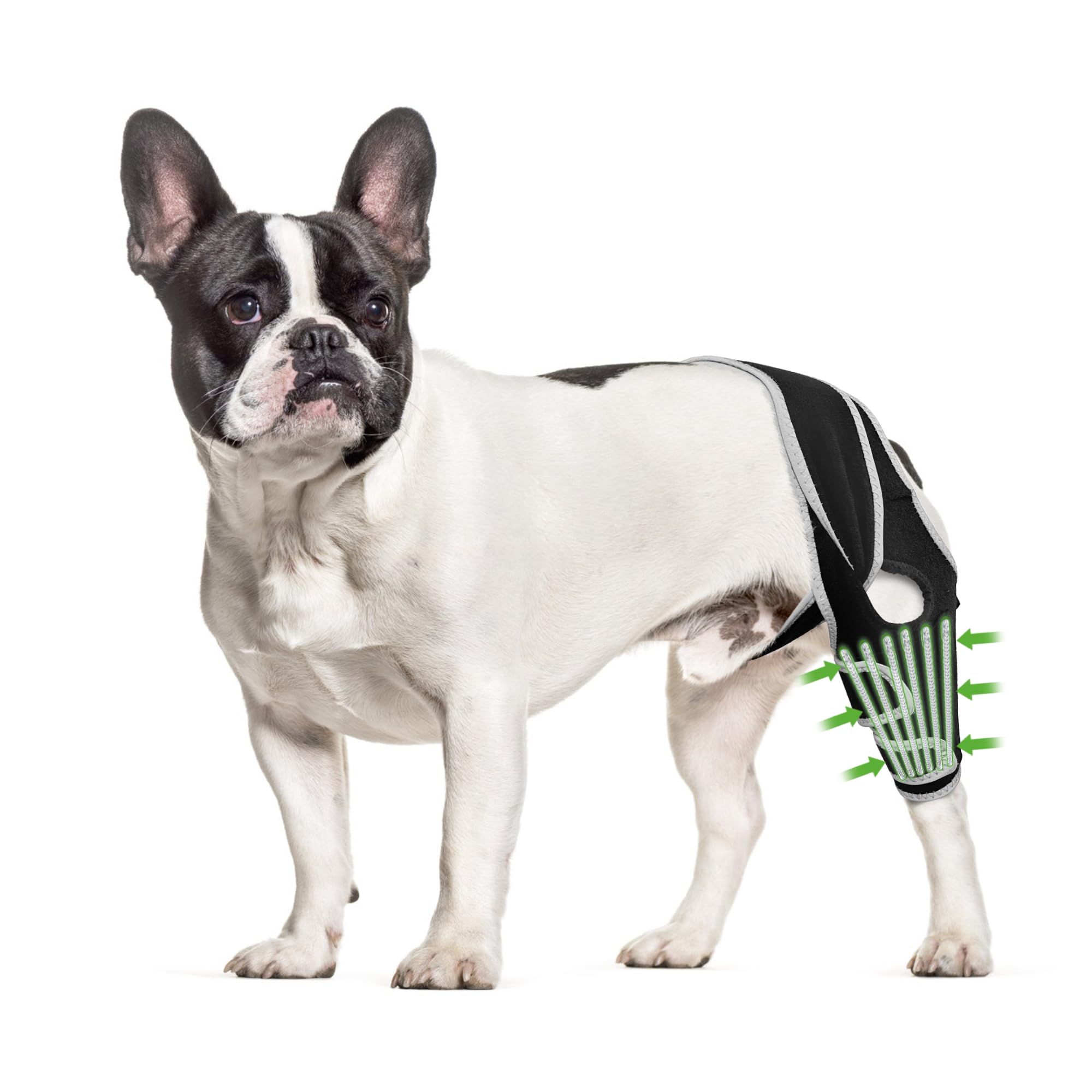 KISFLY dog knee brace front view provides steady support during daily activities