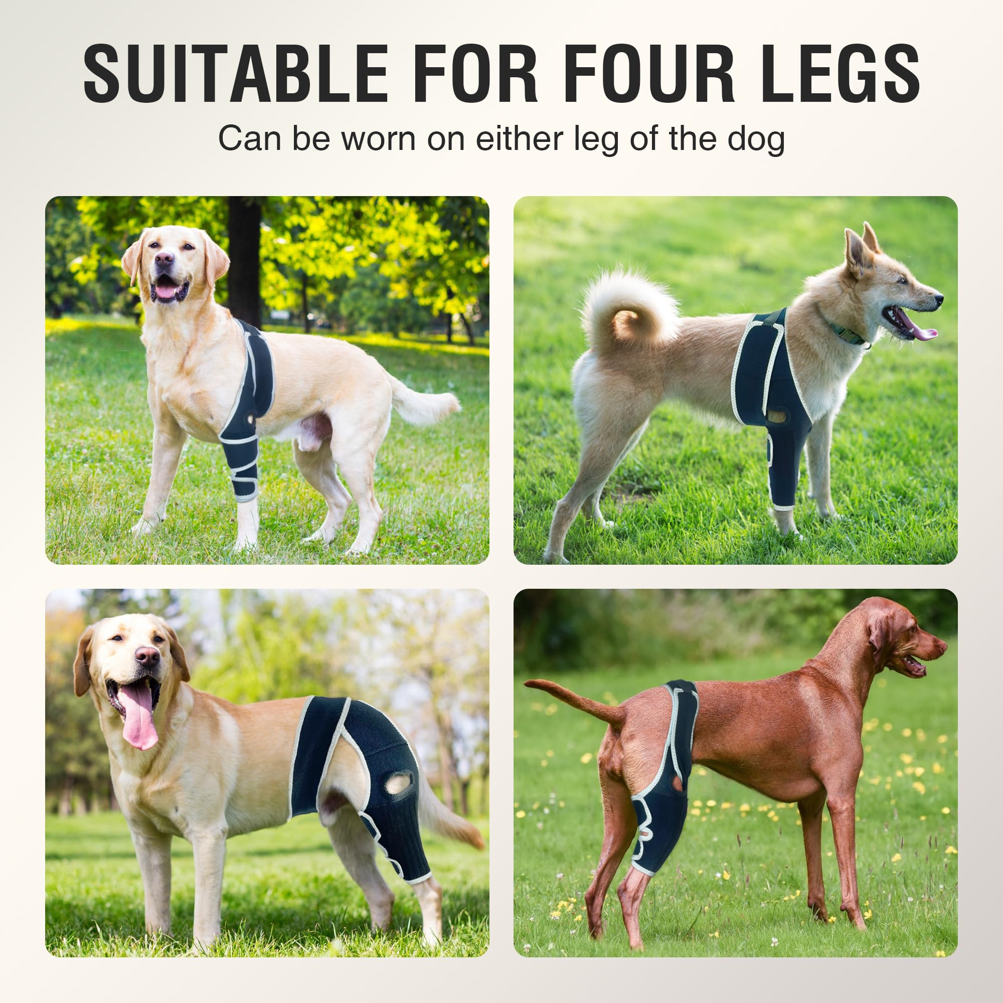KISFLY knee brace with six metal strips provides stronger leg support