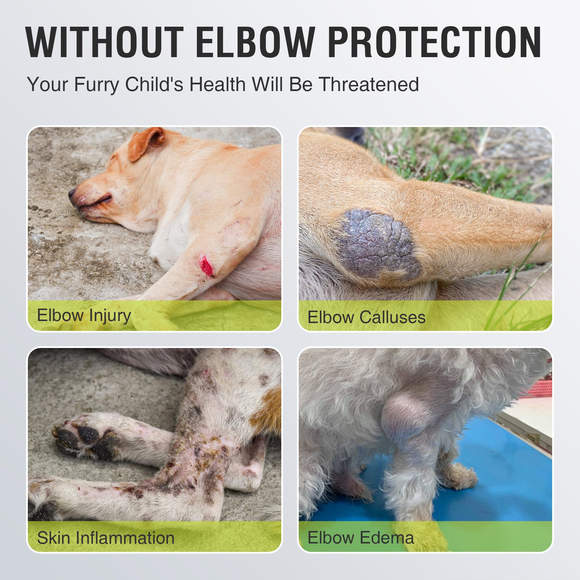 KISFLY dog elbow brace in use – prevents licking and speeds healing