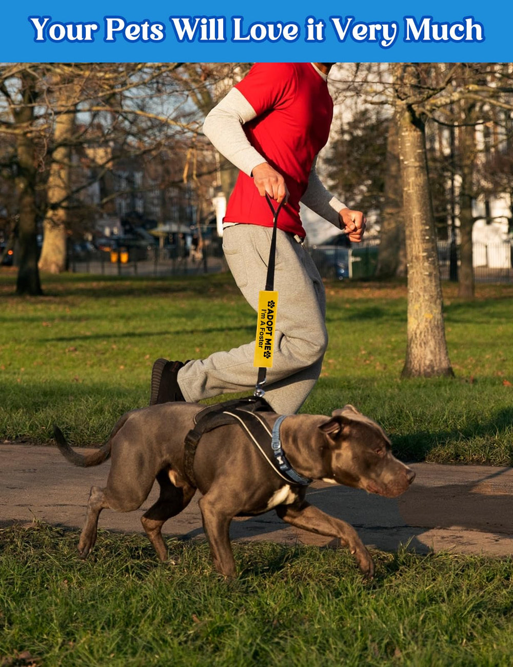 KISJO adjustable length wrap demonstrating size compatibility across most leashes