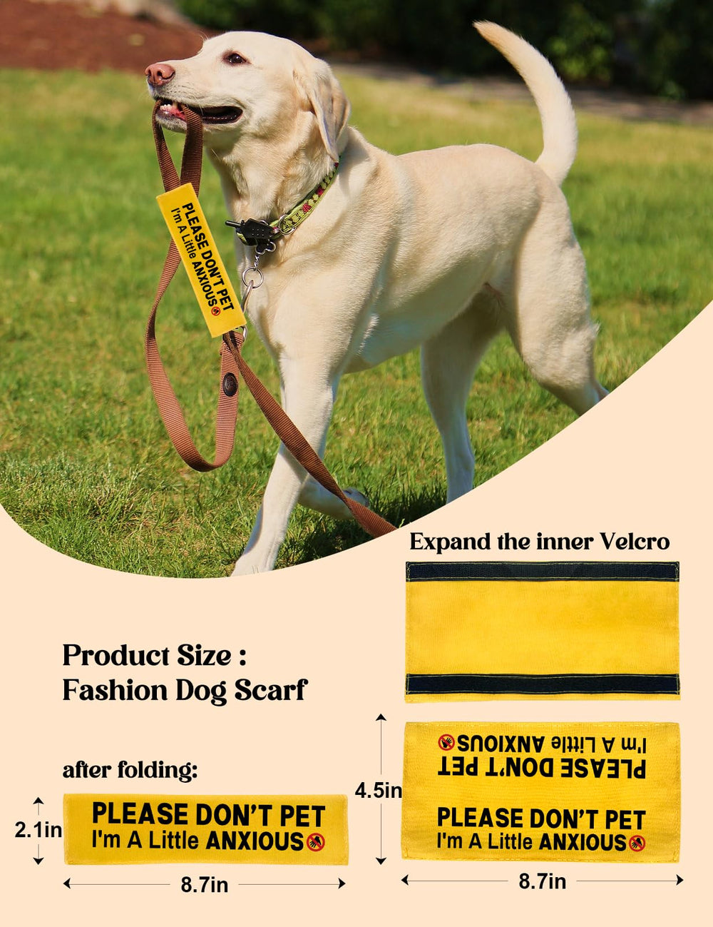 KISJO Gift-ready leash wrap helps dog owners during outings