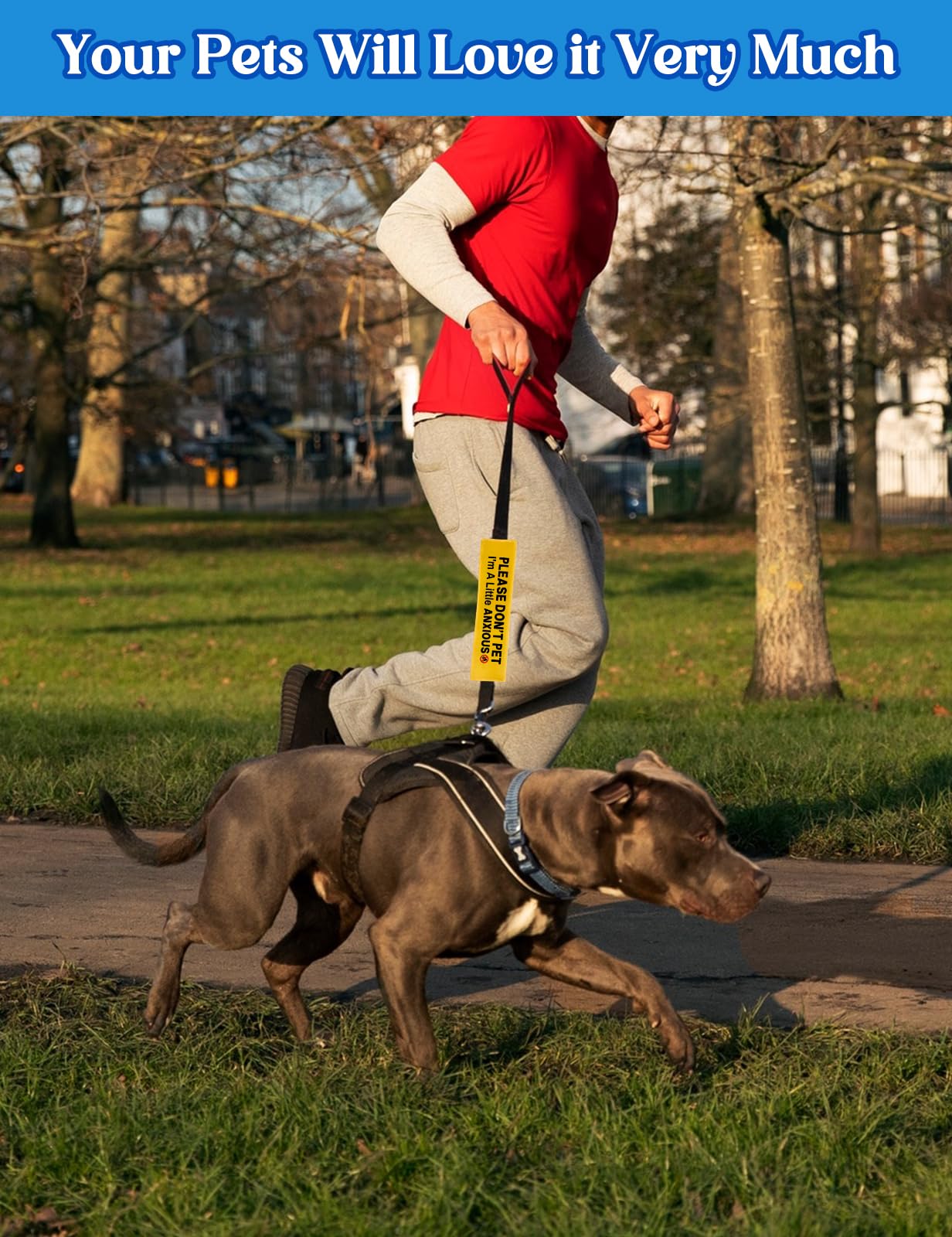 KISJO Washable leash wrap ready for daily outdoor adventures