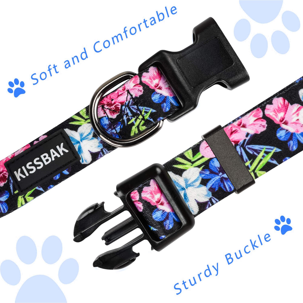 KISSBAK large adjustable-strap dog collar enables precise sizing and quick-release security.