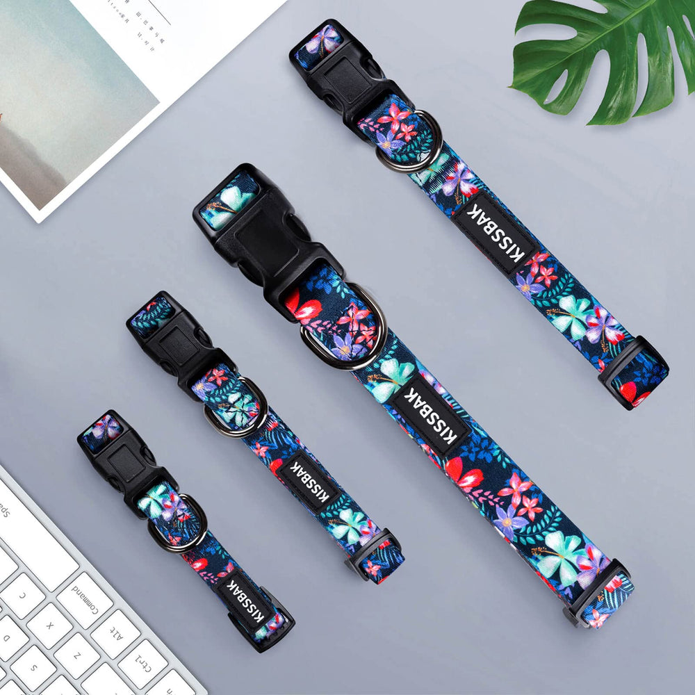 KISSBAK large dog collar floral purple on dog, comfortable fit during walks.