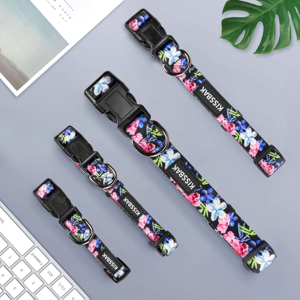 KISSBAK large floral purple dog collar for secure outdoor walks.