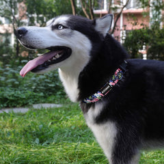 KISSBAK large roseus pattern dog collar adds feminine flair and durability.