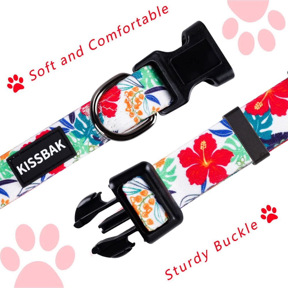 KISSBAK white daisy pattern collar for small dogs—lightweight adjustable for walks