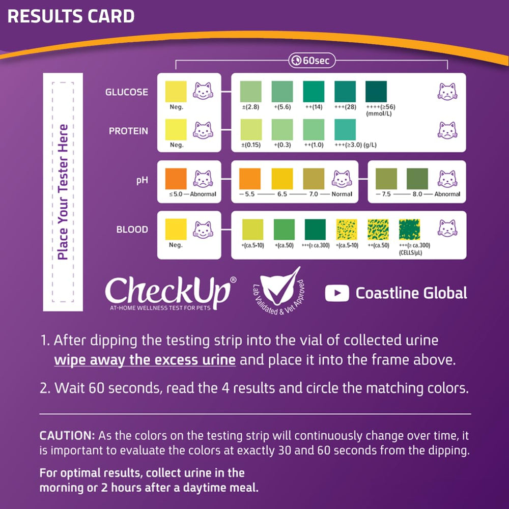 KIT4CAT results appear in sixty seconds with clear visuals.