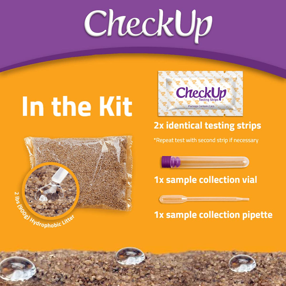 KIT4CAT cat using litter box with hydrophobic sand for smooth sampling.
