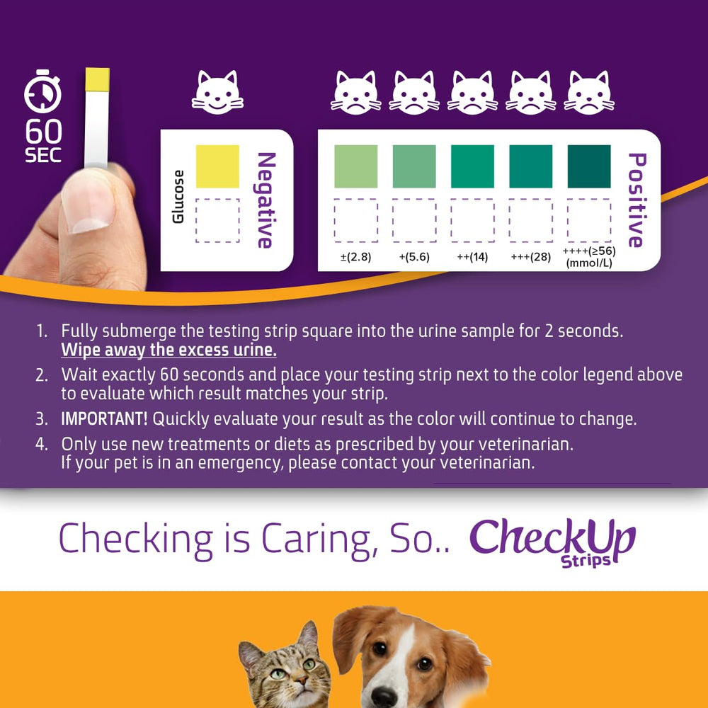 KIT4CAT CheckUp multilingual box label aids global usage for pet owners