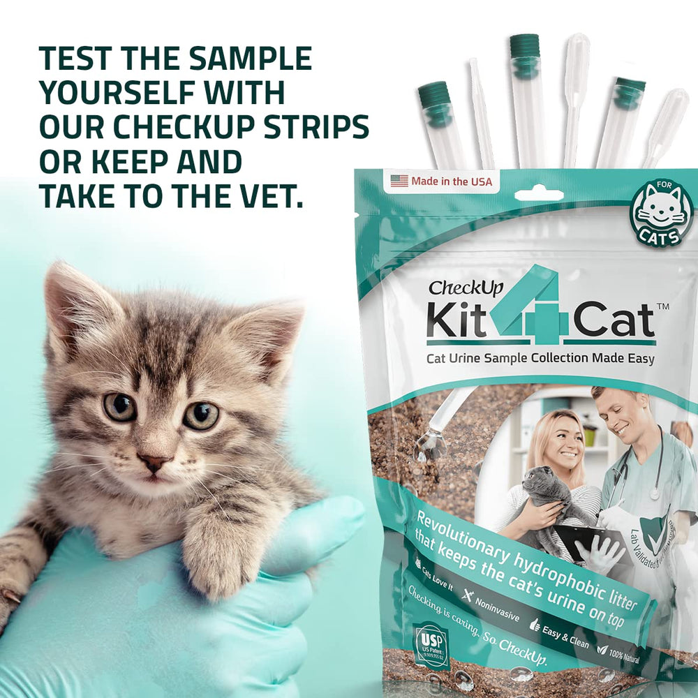 KIT4CAT urine sample collection closeup showing non-invasive design