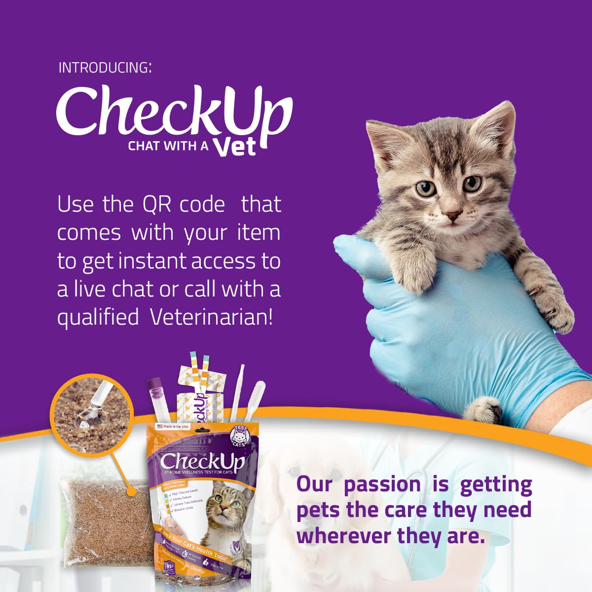 KIT4CAT at-home testing aids vet visit planning.