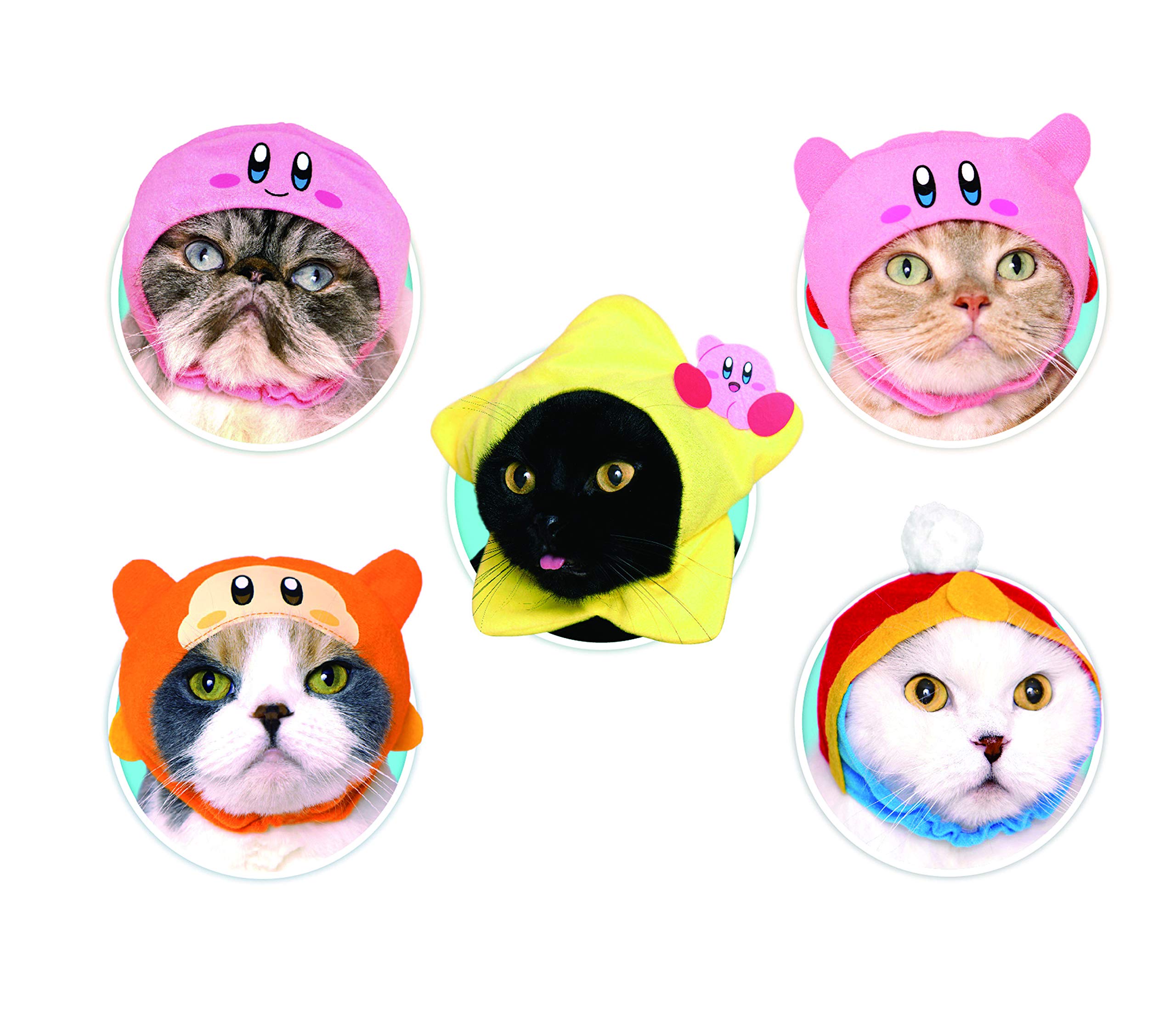 Kitan Club Cat Cap camera-ready design invites cute pet photos