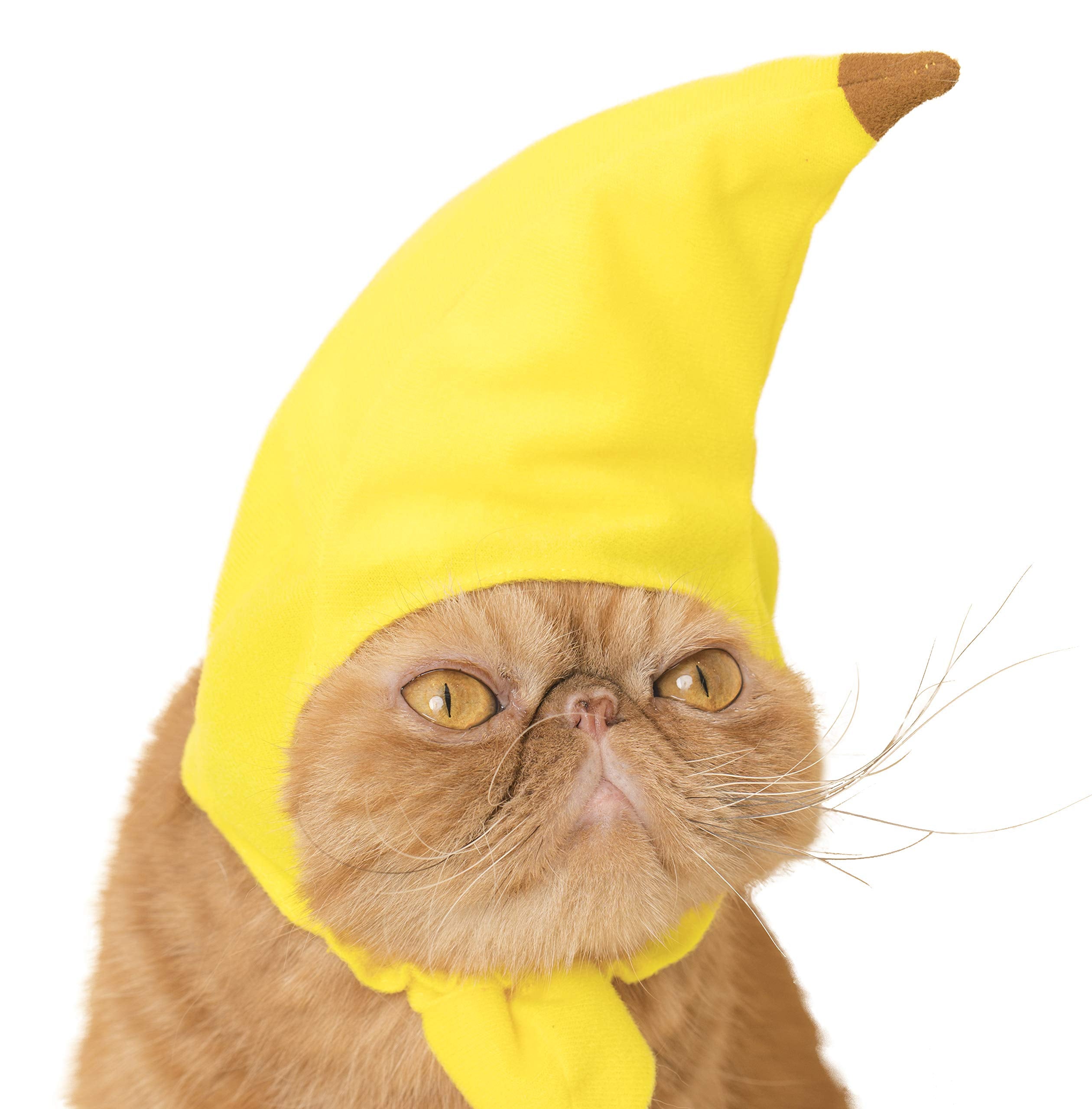 Kitan Club Fruit Cat Cap bottom-strap detail ensuring secure fit