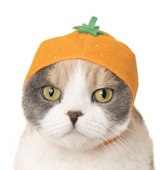 Kitan Club Fruit Cat Cap closeup highlighting soft material and cozy fit
