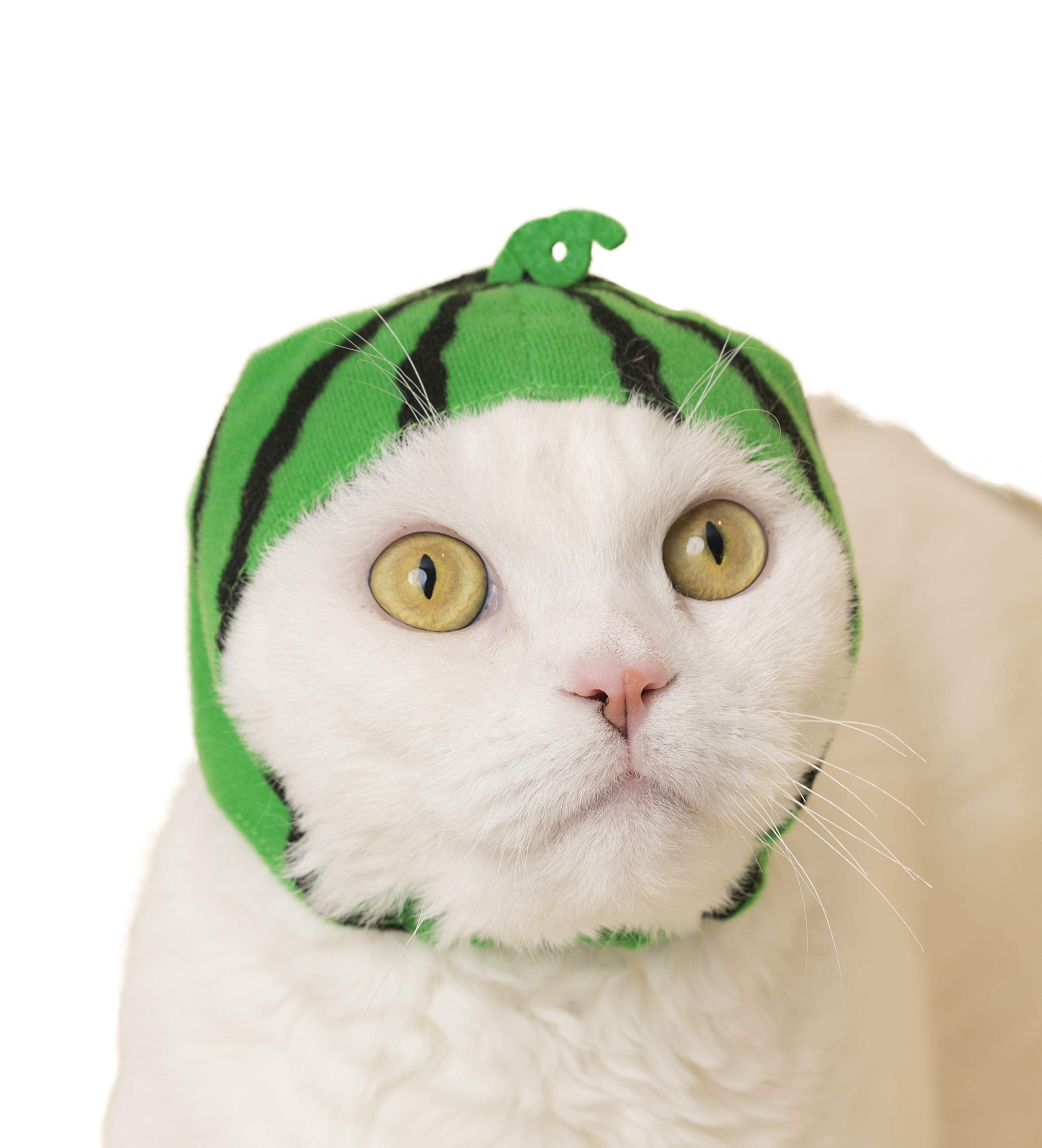 Kitan Club Fruit Cat Cap fruit-styles edition showcasing six designs