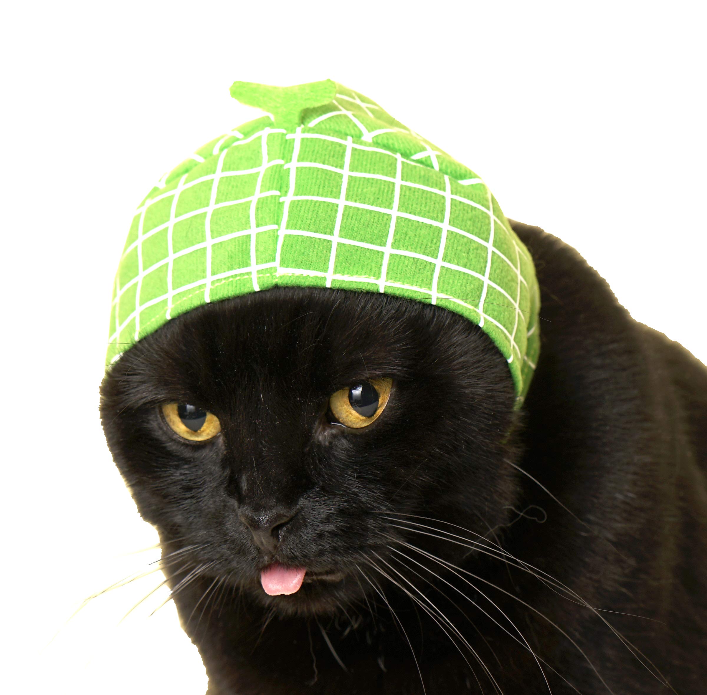 Kitan Club Fruit Cat Cap authentic Japanese design on stylish outfit