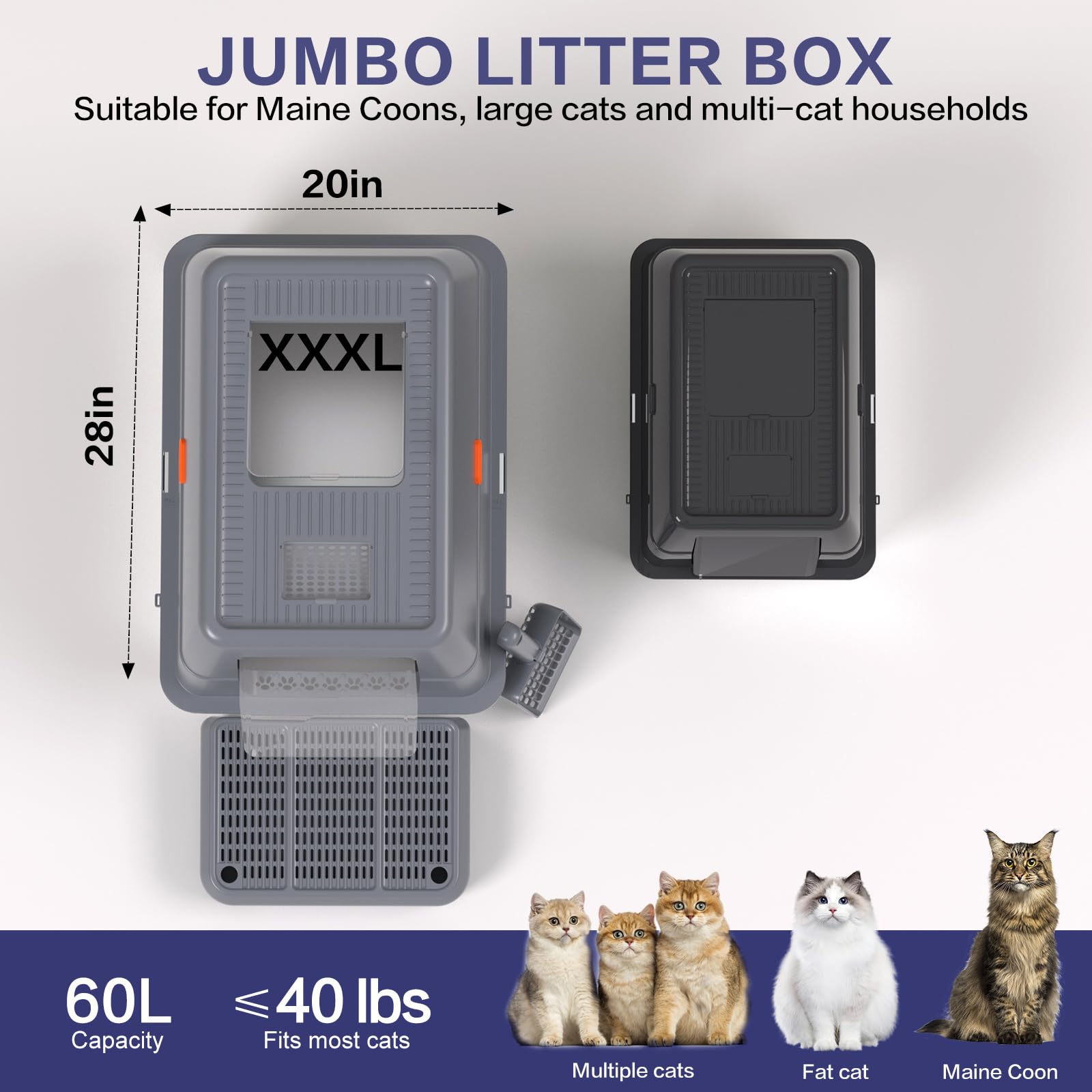 KITCATY XXXL litter box semi-enclosed design balances space and scent control.