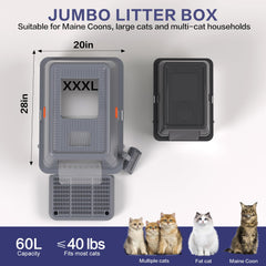 KITCATY XXXL litter box semi-enclosed design balances space and scent control.