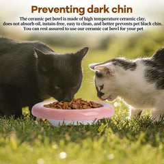 KITCHENLESTAR 6in cat bowl yellow inside view emphasizes easy-to-clean surface for quick meals.