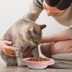 KITCHENLESTAR cat bowl anti vomiting spine protection design promotes comfortable neck alignment